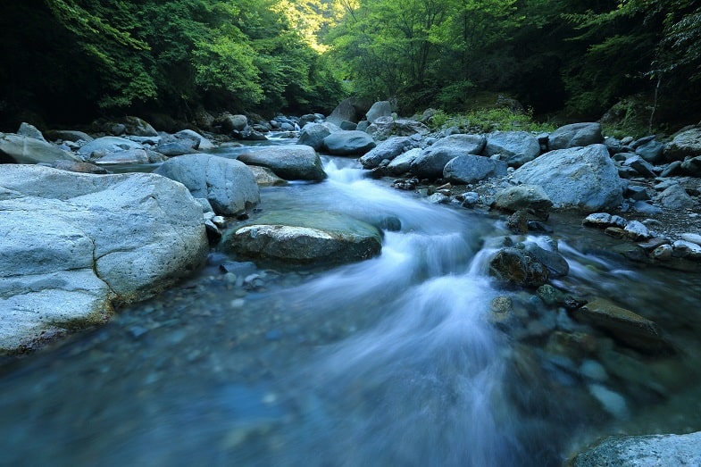 Dosaggio dell'acqua nelle diverse fasi di crescita