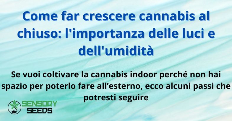 Come far crescere cannabis al chiuso