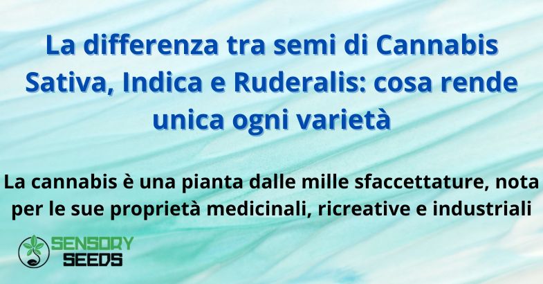 La differenza tra semi di Cannabis Sativa, Indica e Ruderalis