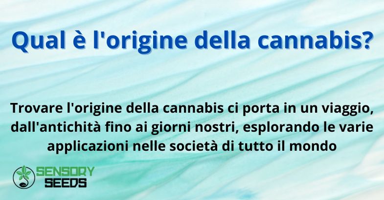 Qual è l'origine della cannabis?