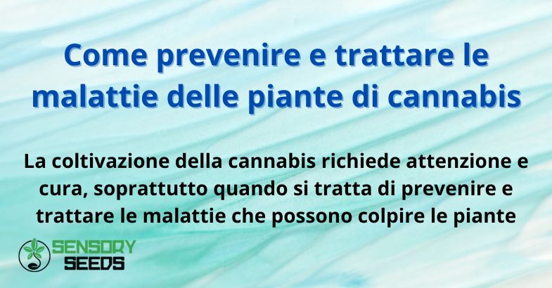 Come prevenire e trattare le malattie delle piante di cannabis