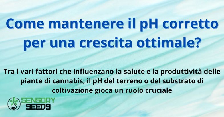 Come mantenere il pH corretto per una crescita ottimale?