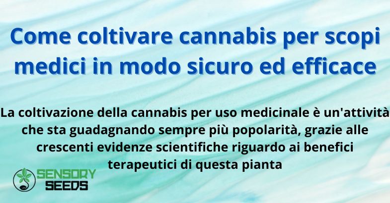 Come coltivare cannabis per scopi medici in modo sicuro ed efficace