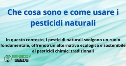 Che cosa sono e come usare i pesticidi naturali