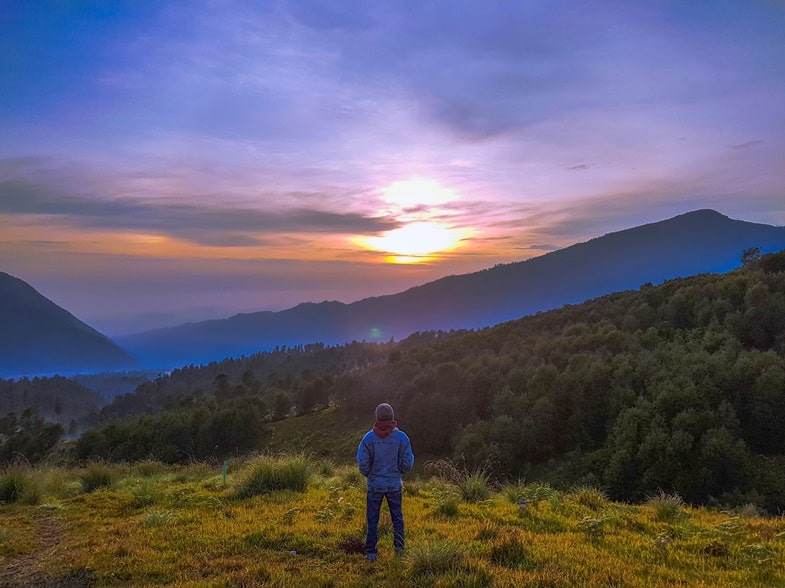 La sostenibilità ambientale