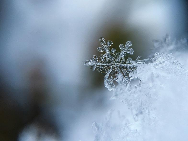 Le caratteristiche delle varietà adatte ai climi freddi